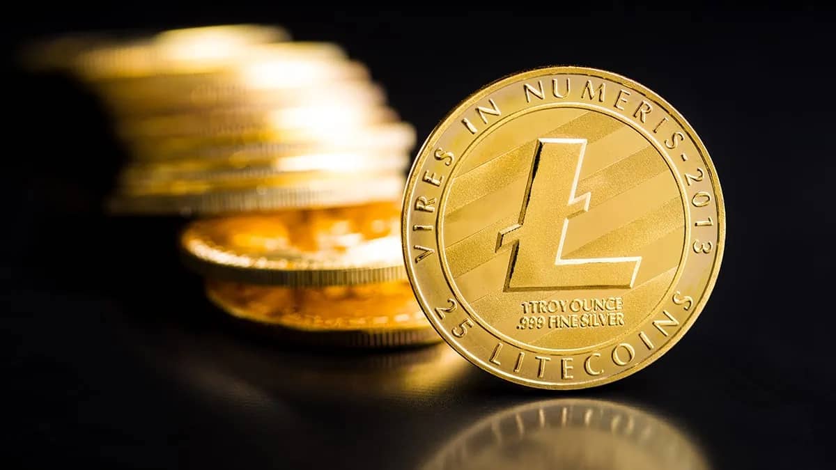 Top Dog: Litecoin And Dogecoin Rule Altcoin Adoption. Is Now The Time To Buy?